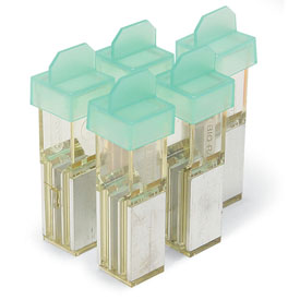 美国伯乐BIORAD 0.2cm/2mm 电击杯